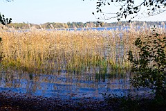 DSC_4400