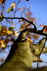DSC_4473