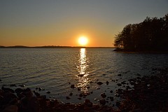 DSC_4520