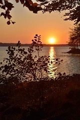 DSC_4546