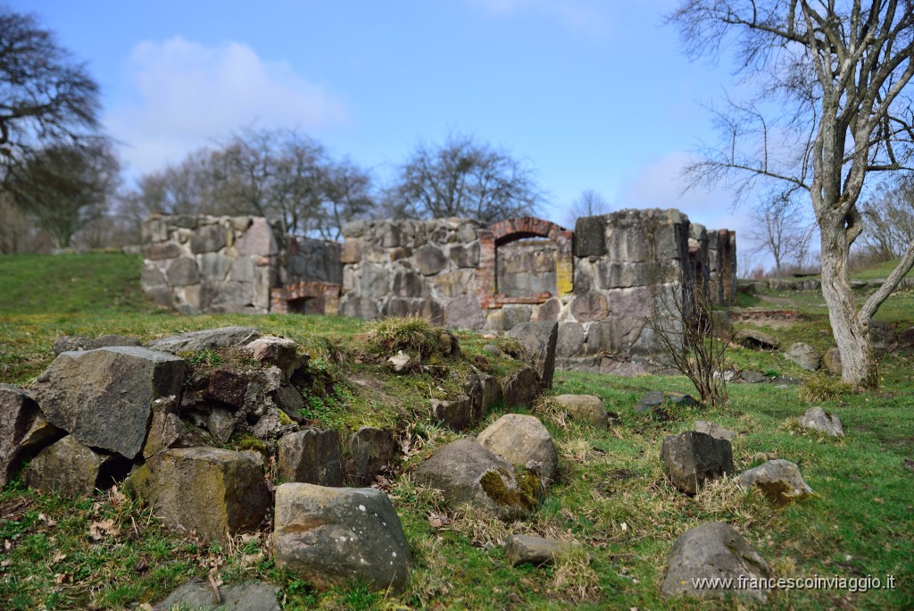 DSC_0705.JPG