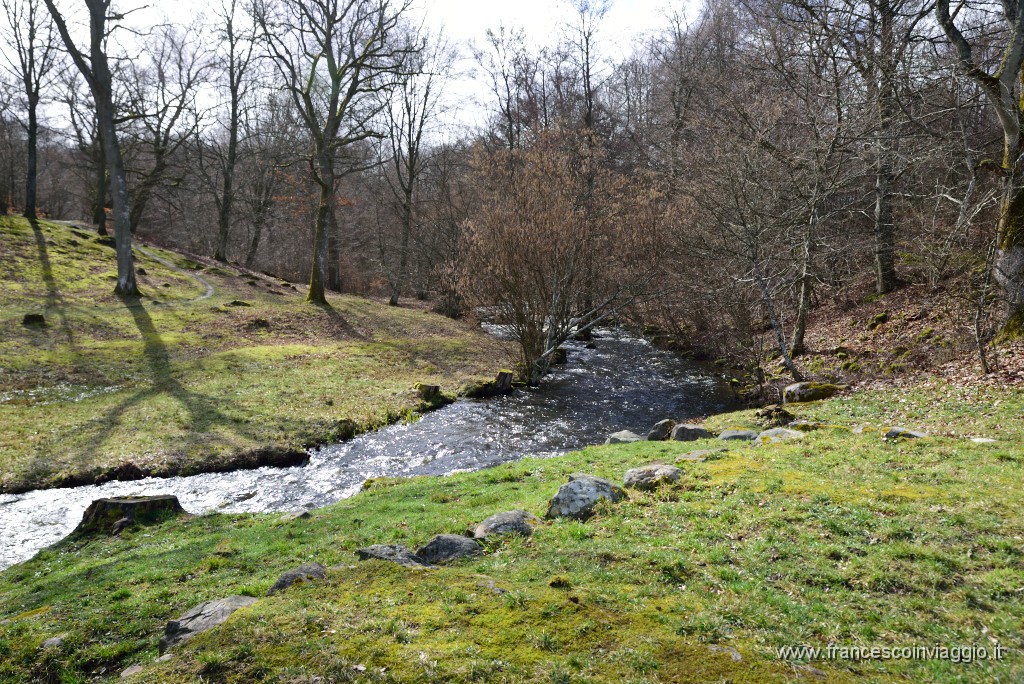 DSC_0721.JPG