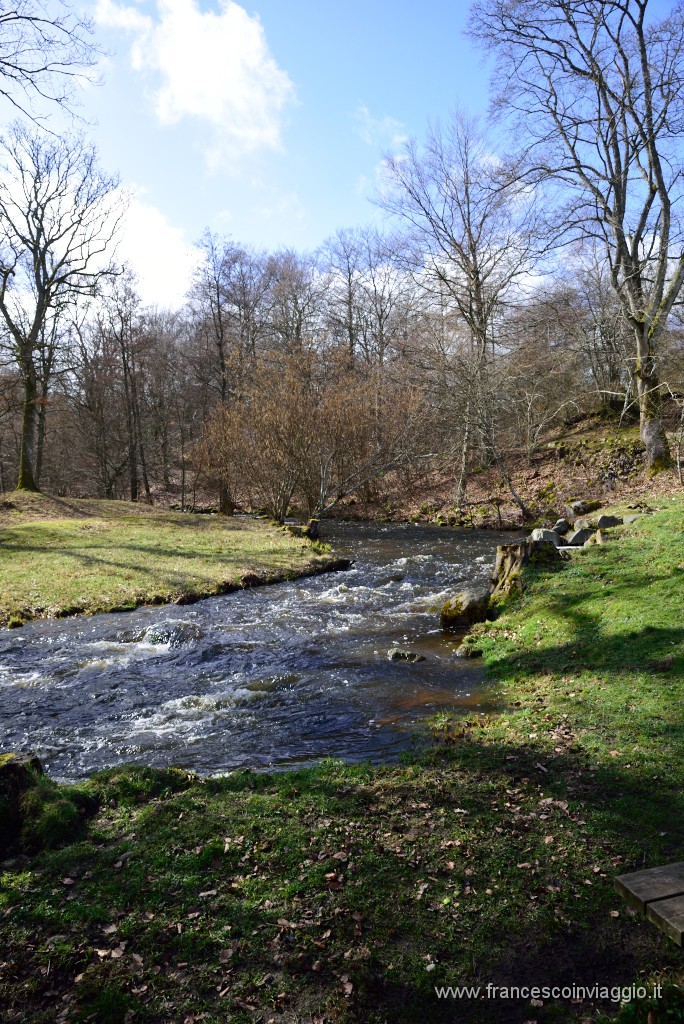 DSC_0730.JPG