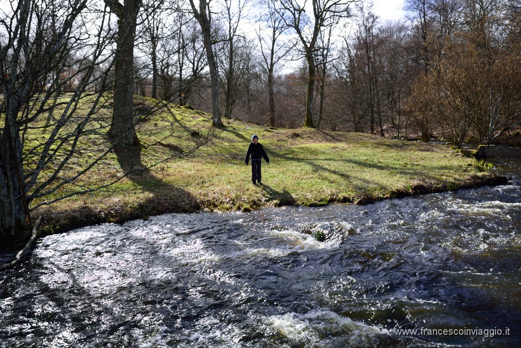 DSC_0733.JPG
