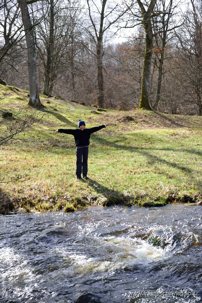DSC_0734.JPG