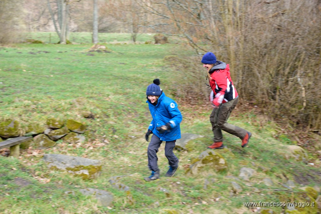 DSC_0766.JPG