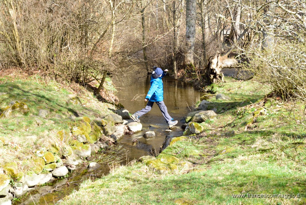 DSC_0774.JPG