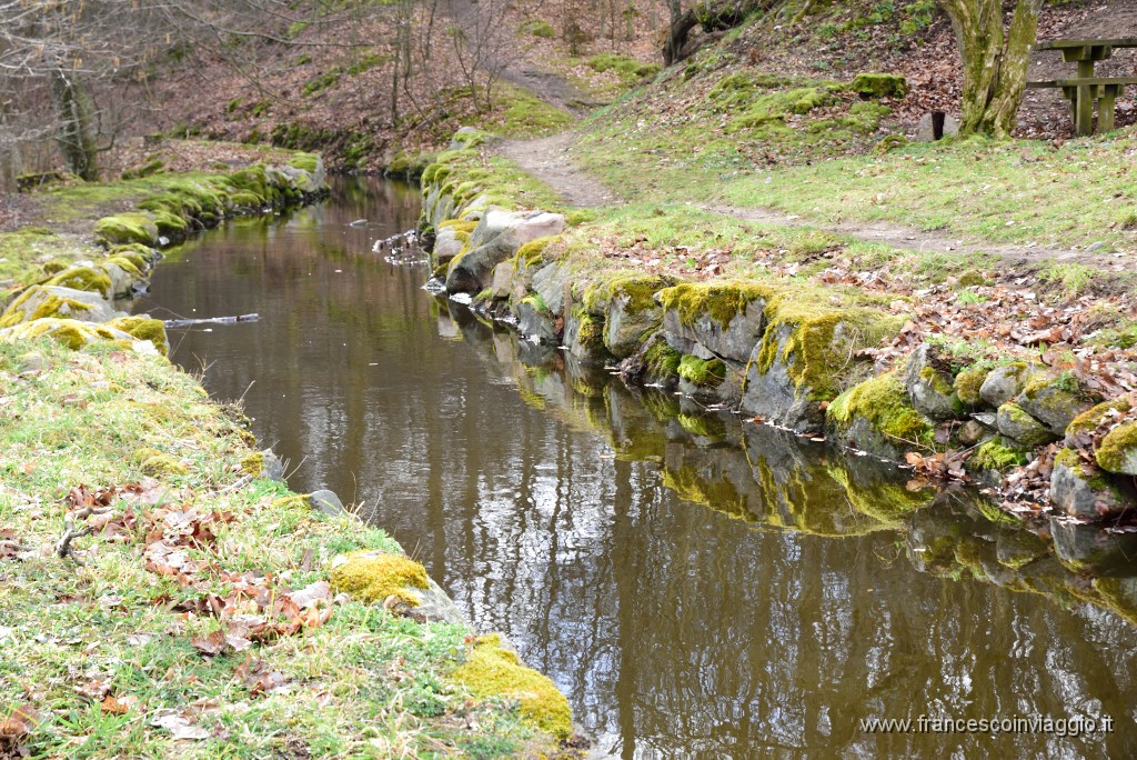 DSC_0779.JPG