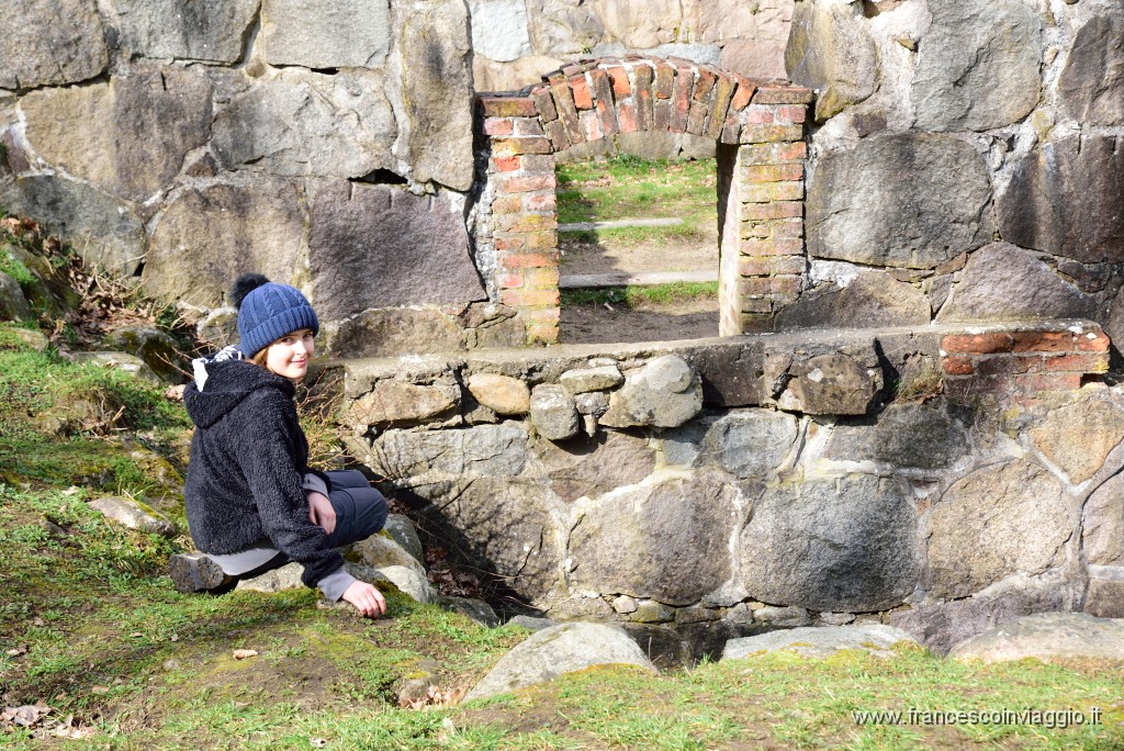 DSC_0782.JPG