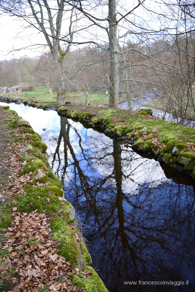 DSC_0811.JPG