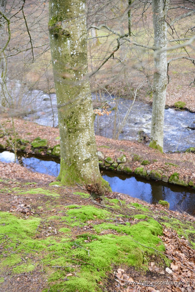 DSC_0815.JPG