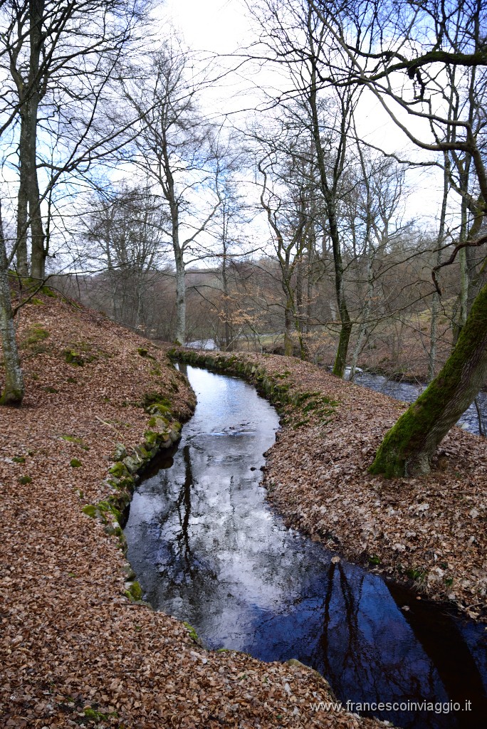DSC_0816.JPG