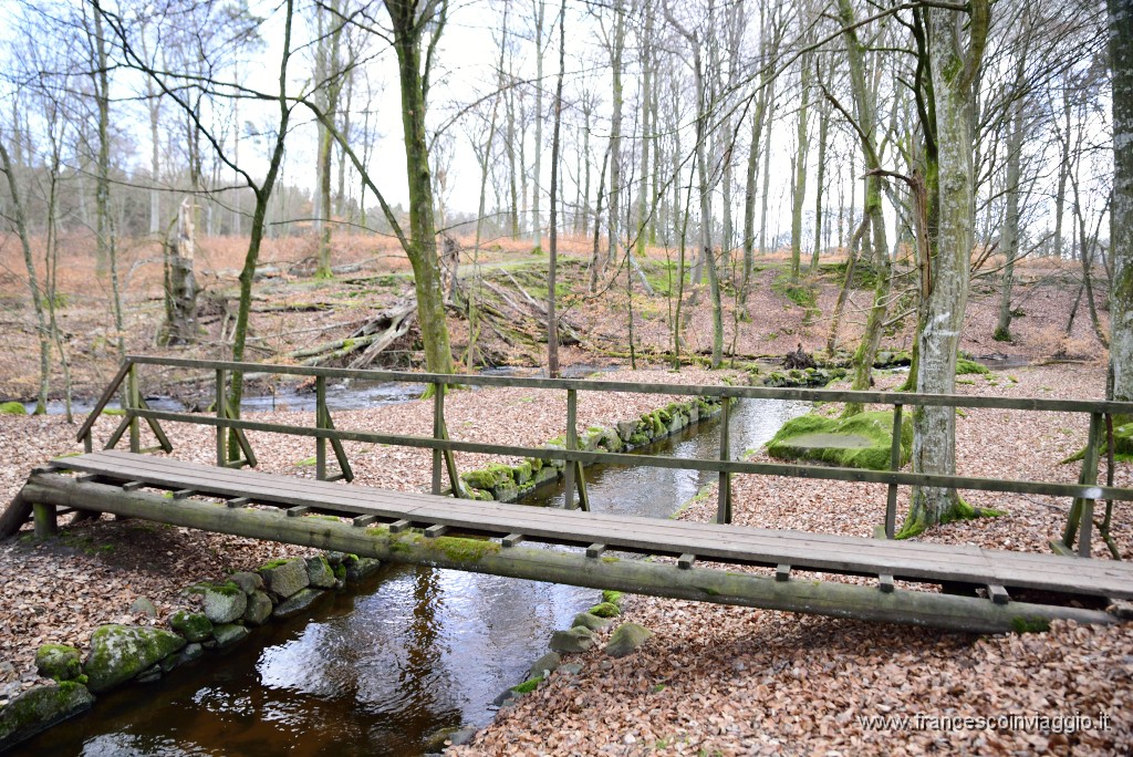 DSC_0819.JPG