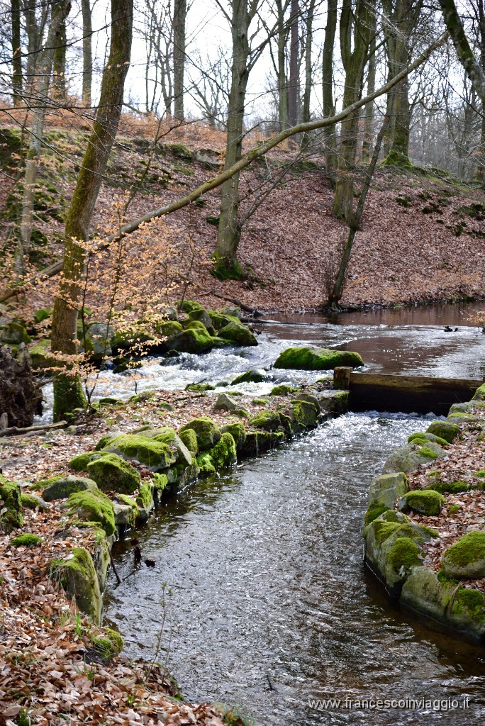 DSC_0831.JPG