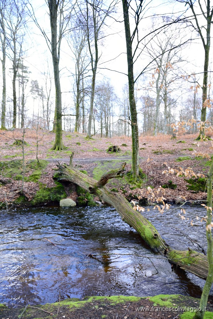 DSC_0834.JPG