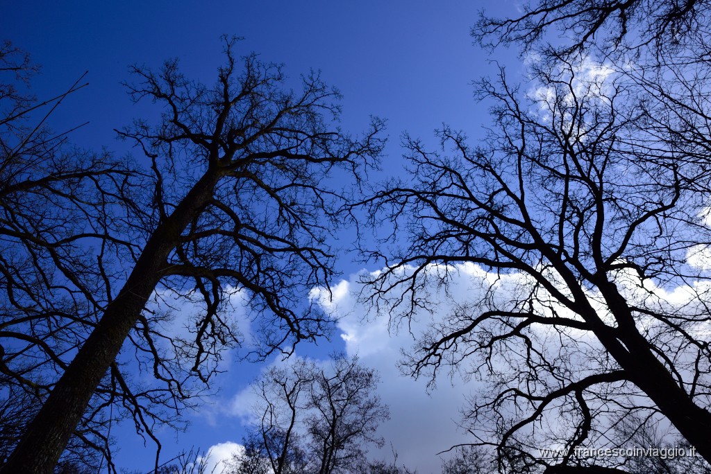 DSC_0839.JPG