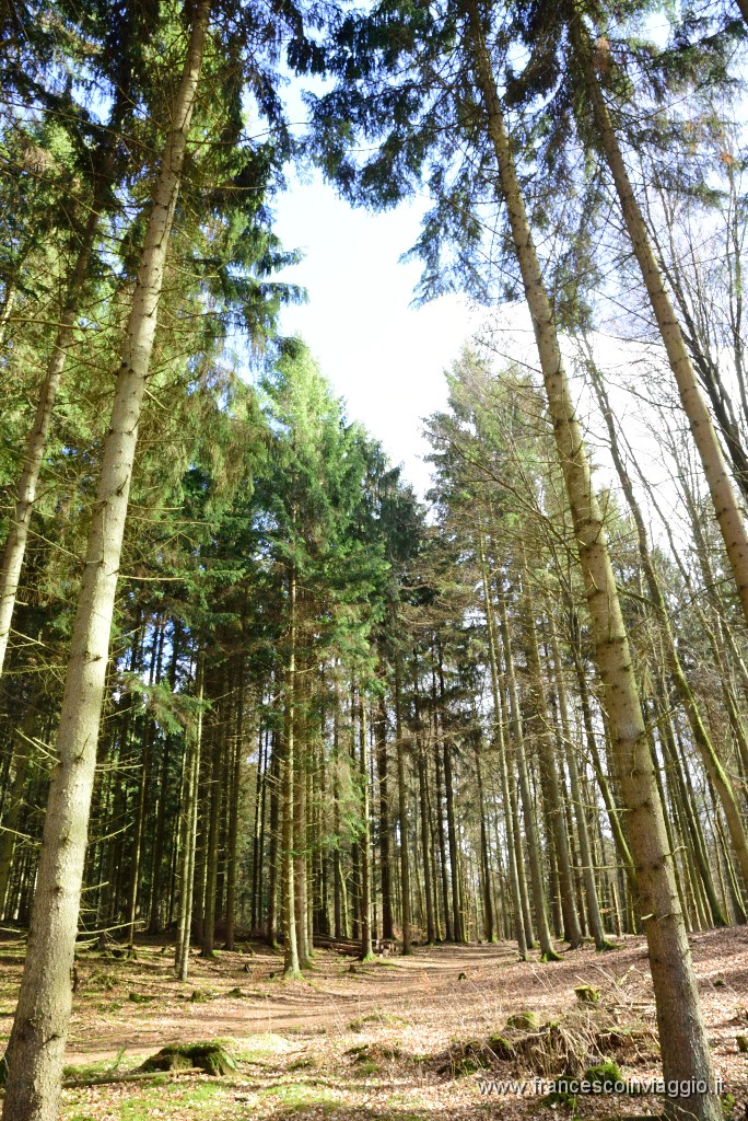 DSC_0840.JPG
