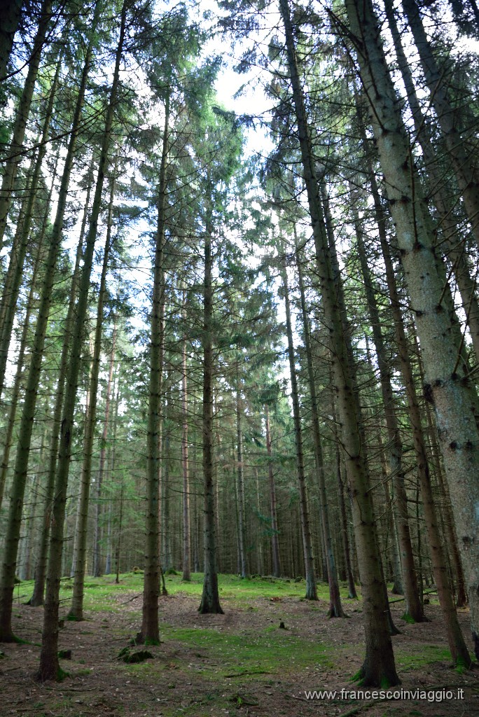 DSC_0846.JPG