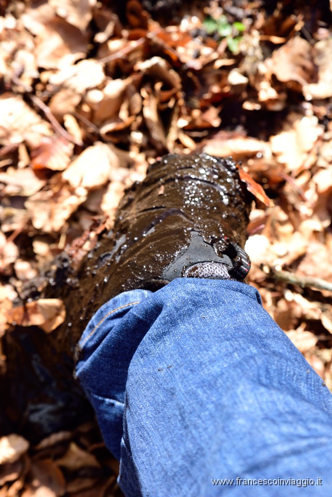 DSC_0878.JPG