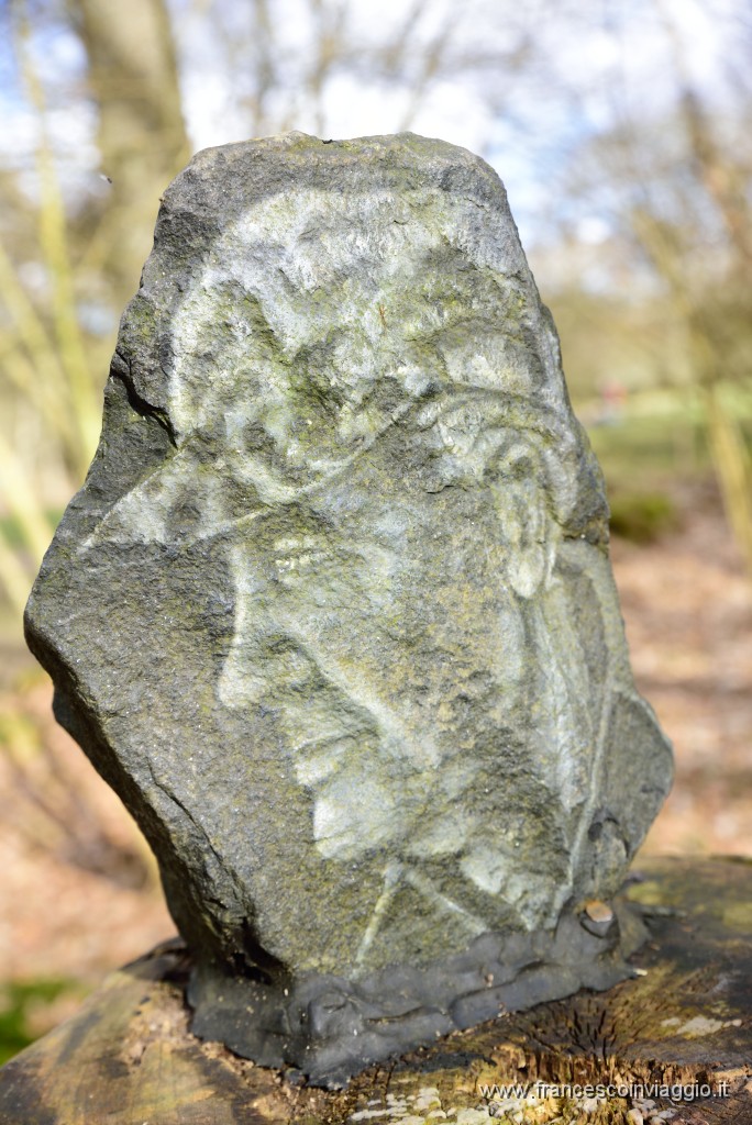 DSC_0882.JPG