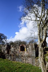 DSC_0773