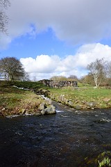 DSC_0789