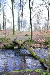 DSC_0834