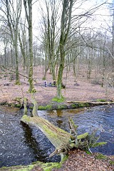 DSC_0835
