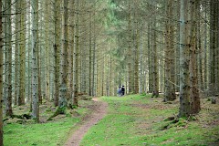 DSC_0847