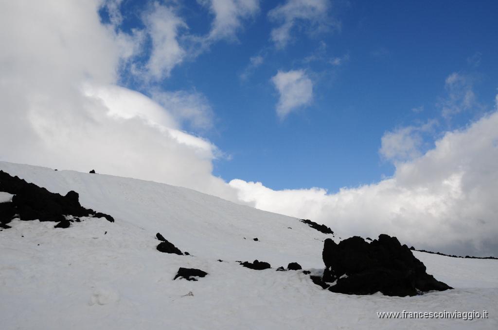 DSC_7004.JPG