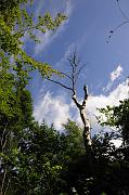 _DSC4309