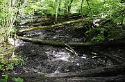 _DSC4433