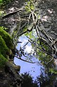 _DSC4438