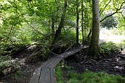 _DSC4440