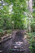 _DSC4445