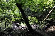 _DSC4447