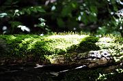 _DSC4495