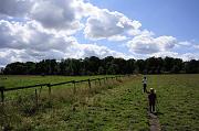 _DSC4596