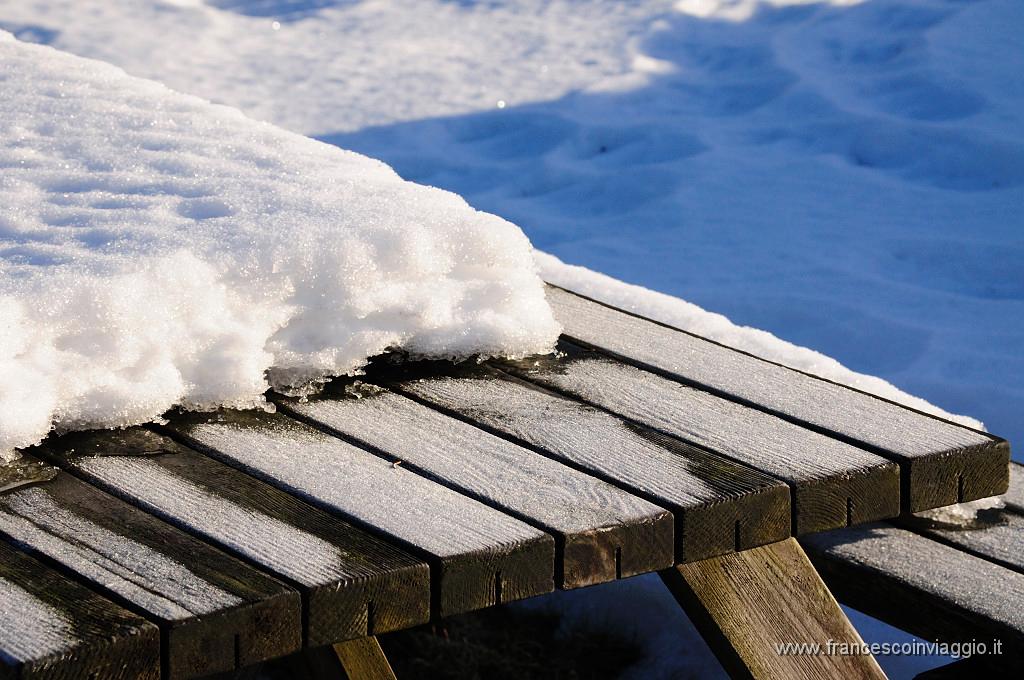 _DSC4518.JPG