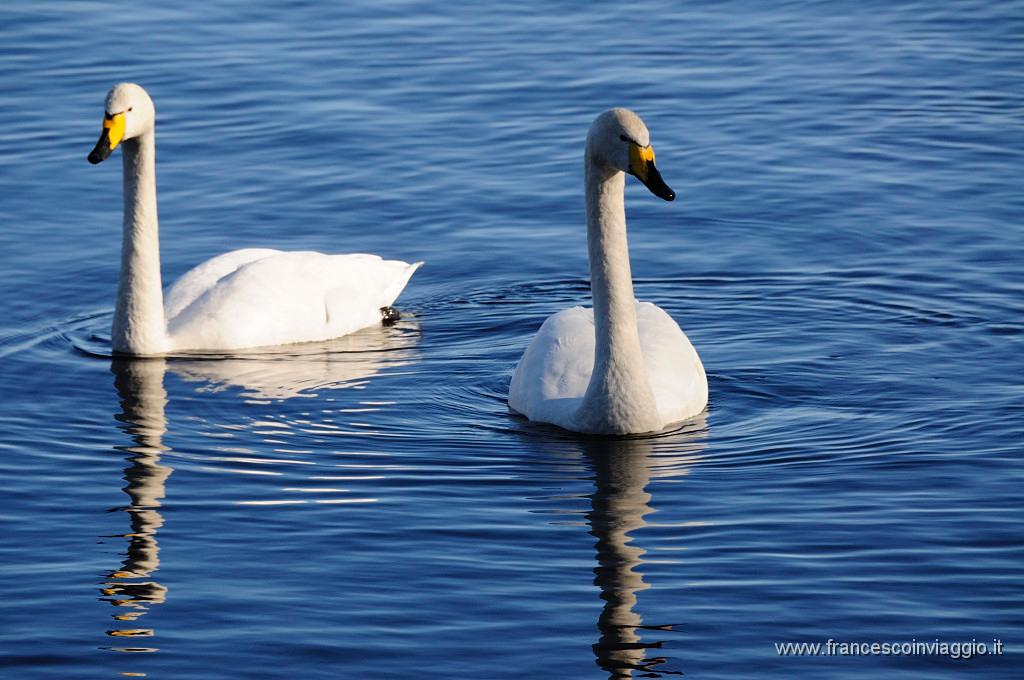 _DSC4664.JPG