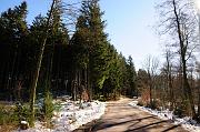 _DSC4590
