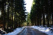 _DSC4593