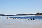 _DSC4608