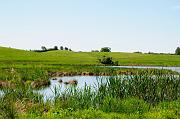 018_DSC0154