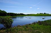 041_DSC0191