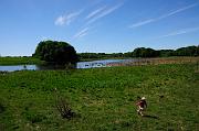 043_DSC0193