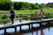061_DSC0221