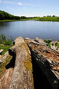 072_DSC0246