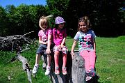 087_DSC0275