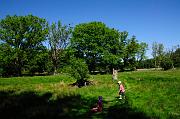 111_DSC0326